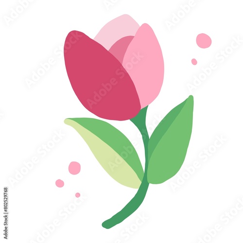 różowy kwiat tulipan