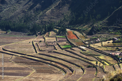 Wide terraces used for cultivation in the city of Pisac in Peru
