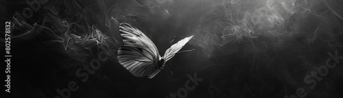 Effect art showcasing the graceful movement of a butterflys wings in a dark, monochrome scene 8K , high-resolution, ultra HD,up32K HD