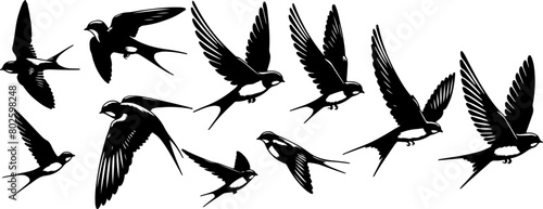 Set silhouettes hirondelle rustique en vol, oiseau noir sur fond blanc isolé