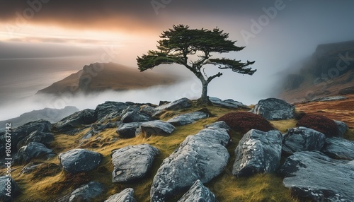 Serene Highland Retreat: A Breathtaking Image of a Lone Tree on a Rocky Outcrop in the Inner Hebrides