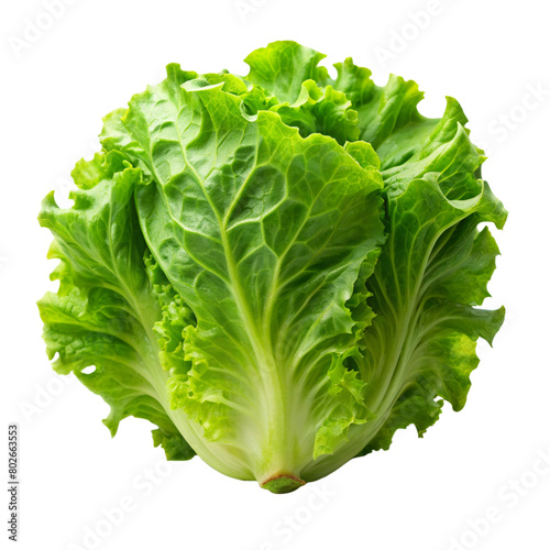 lettuce bud mockup