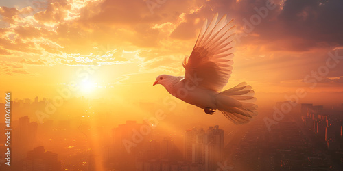 Flying Dove on beautiful sunset sky clouds background Bird of prey Beautiful Sunset with Clouds and a Bird in the Background Dove Soaring into the Sunset Tranquil Sky and Cloudscape 
