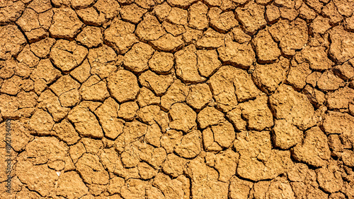 Dry cracked earth background, global warming, climate change concept. Cracked soil ground