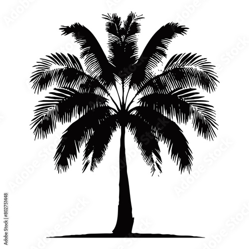 Illustration of a palm tree. Black tropical tree on a white background. Generated by Ai