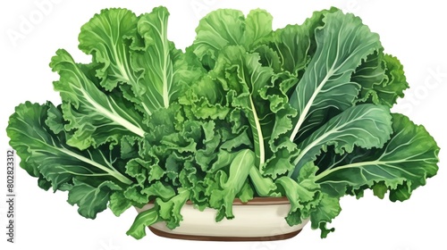 Kale, Paint bunches of kale with their dark green or purple leaves and ruffled edges, arranged in a wooden crate or ceramic bowl