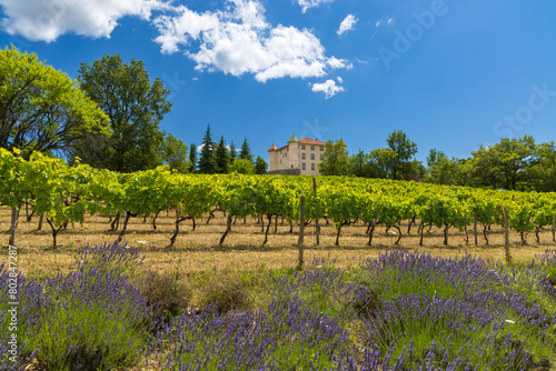 Aiguines castle with vineyard, Alpes-de-Haute-Provence, Provence, France