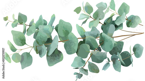 Artificial eucalyptus on white background Vector style