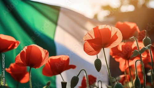 Symbol of Remembrance: Red Poppies on Italy Flag