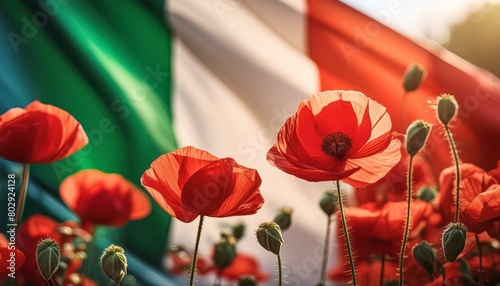 "Floral Tribute: Poppy Flowers Against Italy's Colors