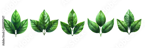 Set of A three green leaf 3d on a transparent background