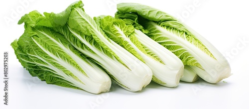 A copy space image of Chinese cabbage placed on a plain white background