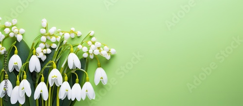 A beautiful copy space image featuring white snowdrop flowers on a colorful background arranged in a creative layout that represents the minimal concept of spring