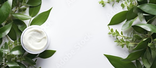 A copy space image featuring white tubes of natural cosmetic products adorned with green leaves allowing for labeling It includes face and body skincare items such as moisturizing cream and purifying