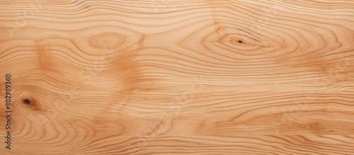 A copy space image featuring the texture of surface plywood