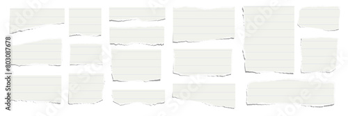 Elongated horizontal set of torn pieces of lined paper isolated on a white background. Paper collage. Vector illustration.