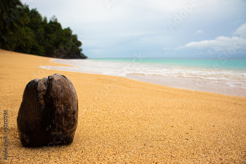A imagem de um coco numa praia paradisíaca, com água azul ao fundo e areia quase branca, com a espuma das onda a entrar pela praia, céu azul com algumas nuvens, árvores tropicais no horizonte 