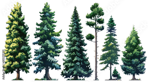 8 Bit. A variety of pine trees, suitable for use in landscaping in isolated on transparent background