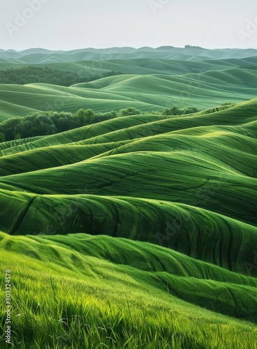 Green rolling hills of Tuscany, Italy