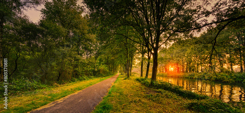 Sunset light coming through the trees in rural Noord-Brabant, The Netherlands. Featuring a typical Dutch bicycle path.