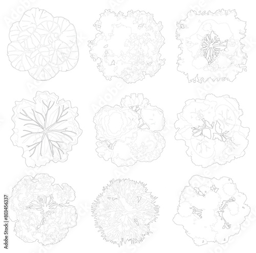 top view trees, cad outlined set of trees