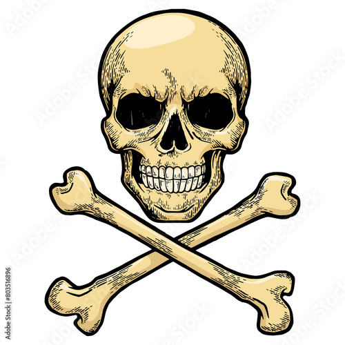 Skull with crossed bones. Pirate symbol Jolly Roger sketch engraving PNG illustration. Tee shirt apparel print design. Scratch board style imitation. Hand drawn image.