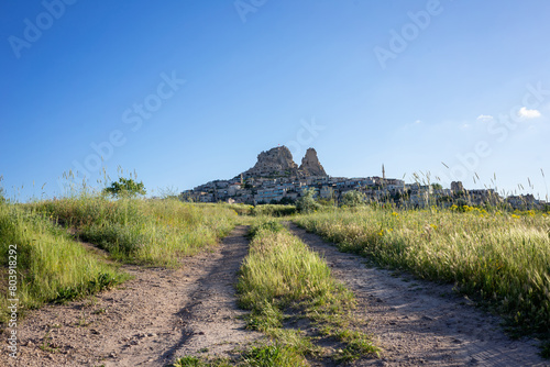 Uchisar Castle seen from a vibrant wildflower path under the vast blue sky in Cappadocia