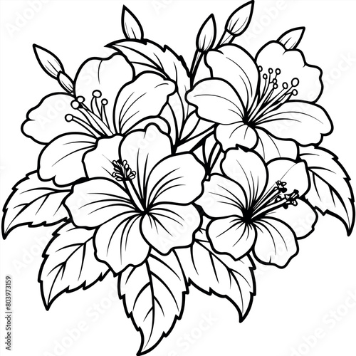 Hibiscus Flower Bouquet illustration coloring book page design, Hibiscus Flower Bouquet black and white line art drawing coloring book pages for children and adults
