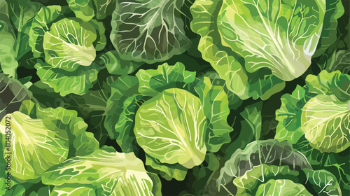 Pieces of fresh savoy cabbage on color background Vector