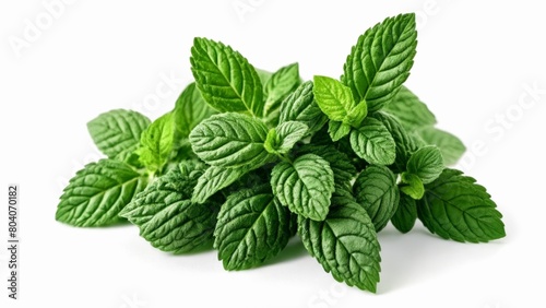  Fresh and vibrant mint leaves perfect for culinary or herbal purposes
