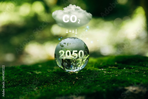 Carbon neutral and net zero or co2 emission for target in 2050 for a sustainable environment, climate change concept