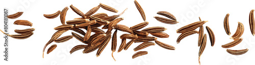 Isolated Line of Macro Cumin and Caraway Seeds on Transparent Background