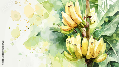 Bananen Pflanze Baum Tropisch Banane Sommer Obst Natur Blatt Wasserfarben Aquarel Vektor