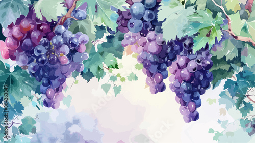 Weintrauben Wasserfarben Traubenbaum Trauben Vektor