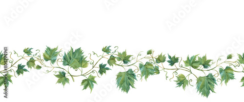 Seamless border of grapevine leaves. Banner of vine. Isolated watercolor illustrations for wine label design, grape juice, cosmetics, wedding cards, stationery, greetings card, menu, cafe, winery