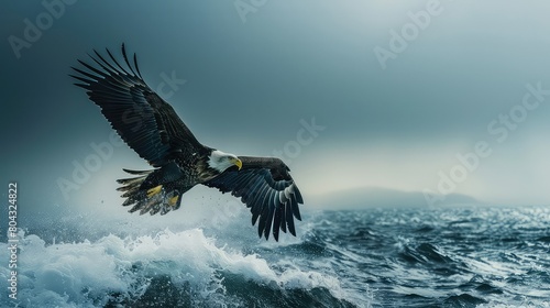 Eagle flying on the sea