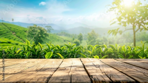 Wooden tabletop with a backdrop of a tea plantation under a blue sky and blurred green leaves for showcasing products in a natural setting.