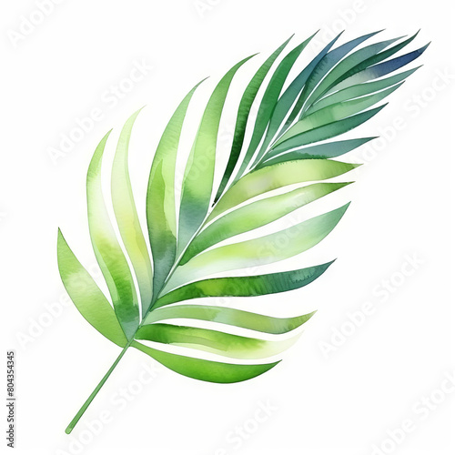 Watercolor painting of a tropical palm leaf. Green and blue tones, white background. Minimalist, simple, elegant.
