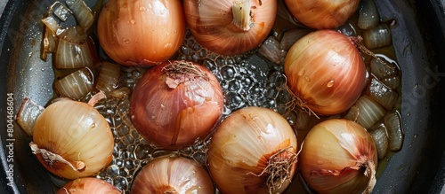 Onions Sautéed in Pan on Stove