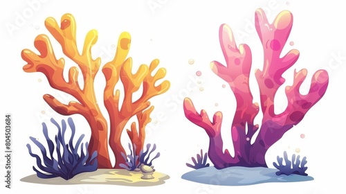 Color underwater plant cartoon modern isolated illustrations of seaweed and coral. Ocean reef life, aquarium algae on white.