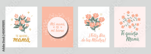 Set of Mother's day phrases in Spanish. My mother is a heroine, Love you mom, Happy Mother's Day - in Spanish. Lettering. Ink illustration.