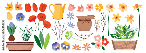 A set of spring field and garden flowers with leaves. Spring primroses are lilies of the valley, tulips, daffodils and flower garden pots. Flowers, leaves, buds of primroses. Vector illustration.