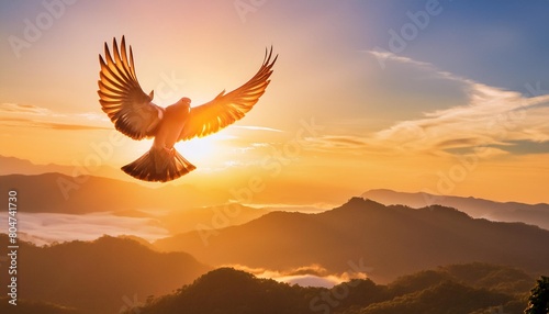 bird sunset flight inspirational flying motivational divine sky hope sunrise banner header