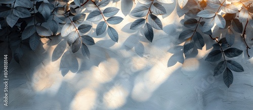 Gray shadows of wild leaves on white wall