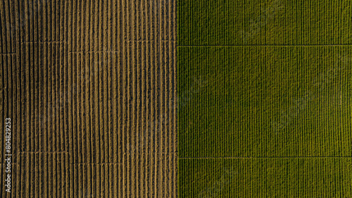 half plowed field