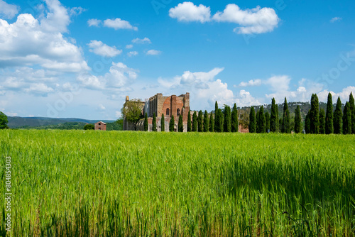 Ruins of Abbey of San Galgano - Italy