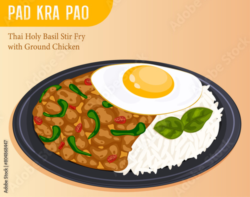 Pad Kra Pao with Ground Chicken - Thai Stir Fry Vector Illustration 