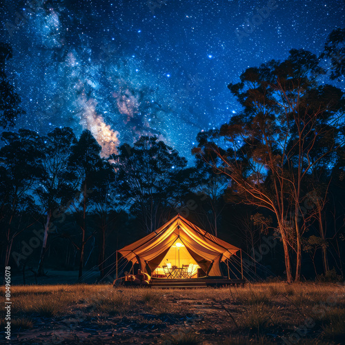 Camping Under the Milky Way: A Starry Night in the Forest.