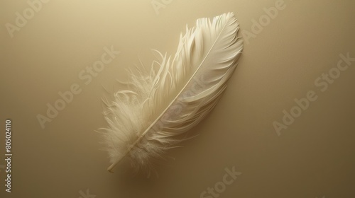 Delicate ostrich feather. The feather is soft and fluffy. It is white and has a long, thin stem.