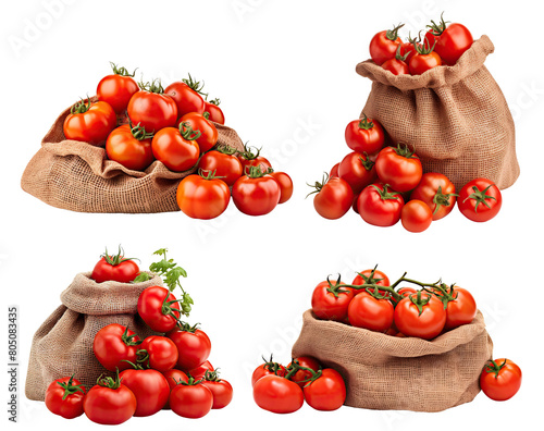 Set of ripe delicious tomatoes in burlap sacks, cut out